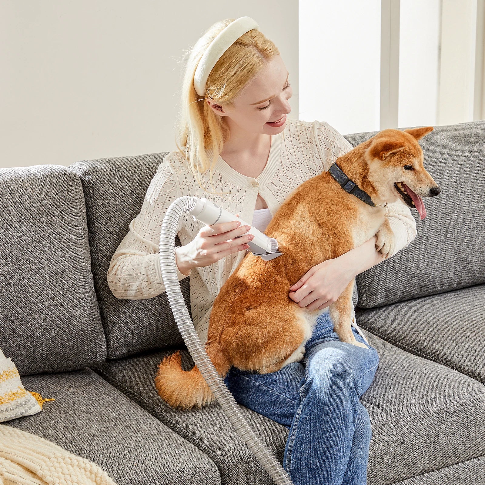 ShedHalo pet grooming vacuum system